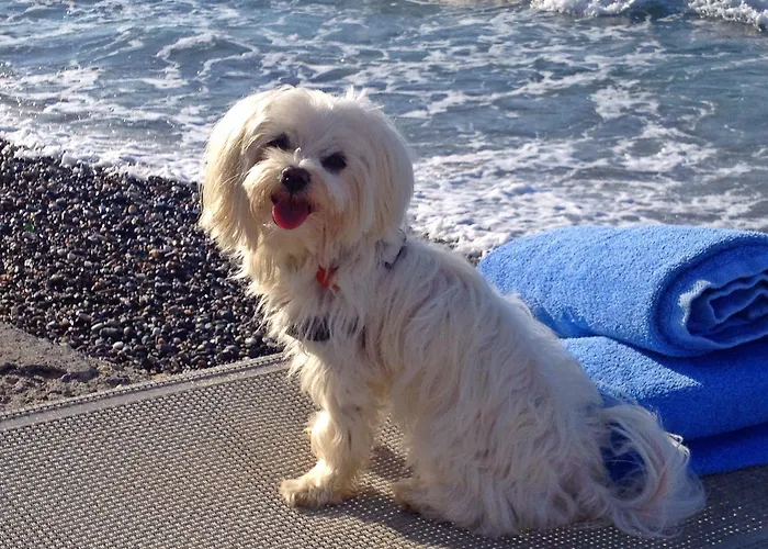 Готель Filoxenia 2*